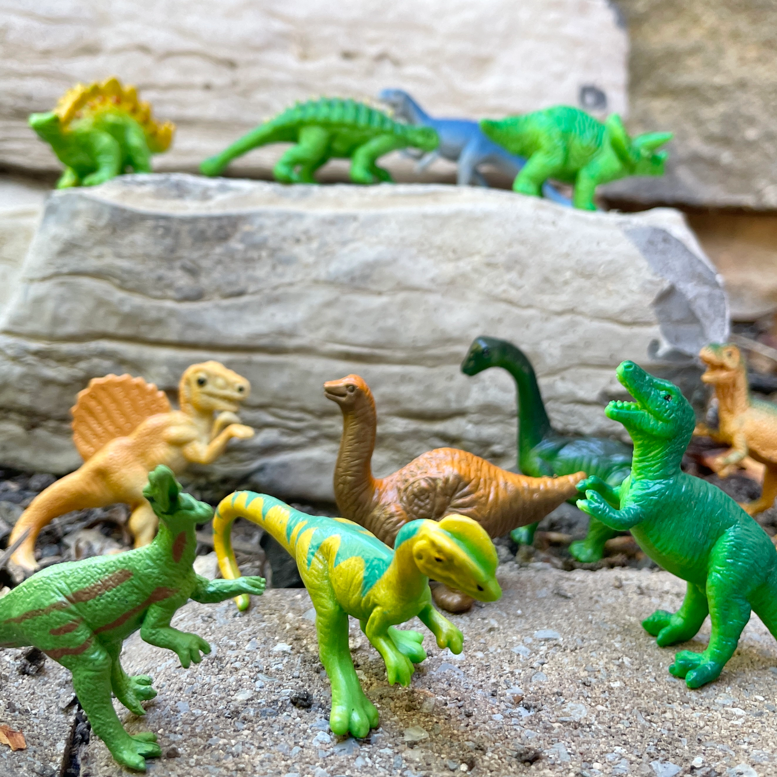 Safari Ltd. - Sue & her Friends TOOB - contains 12 Mini Figurines