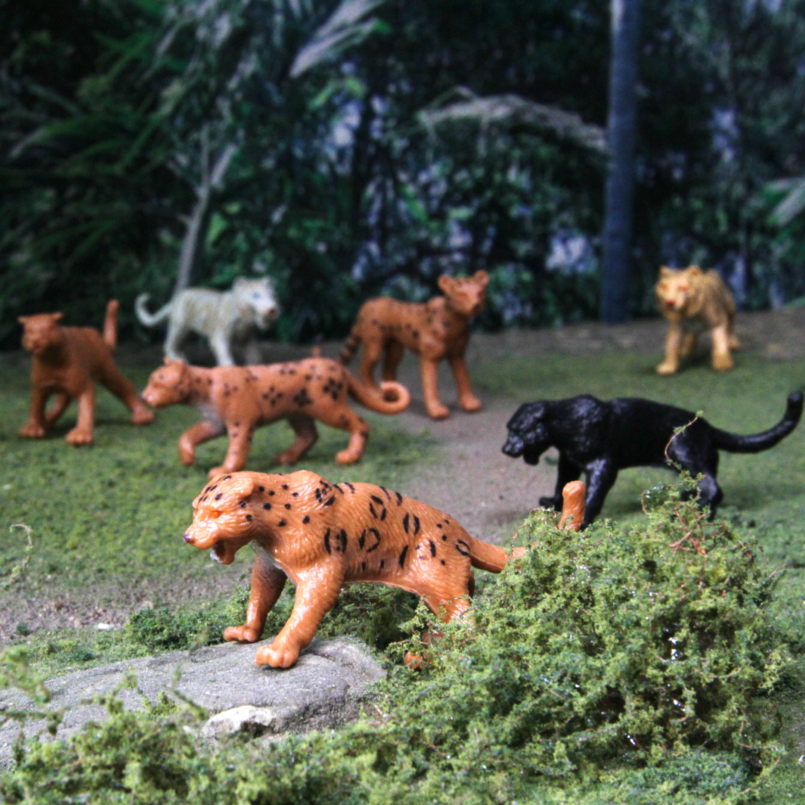 Safari Ltd. - Big Cats TOOB - contains 9 Mini Figurines
