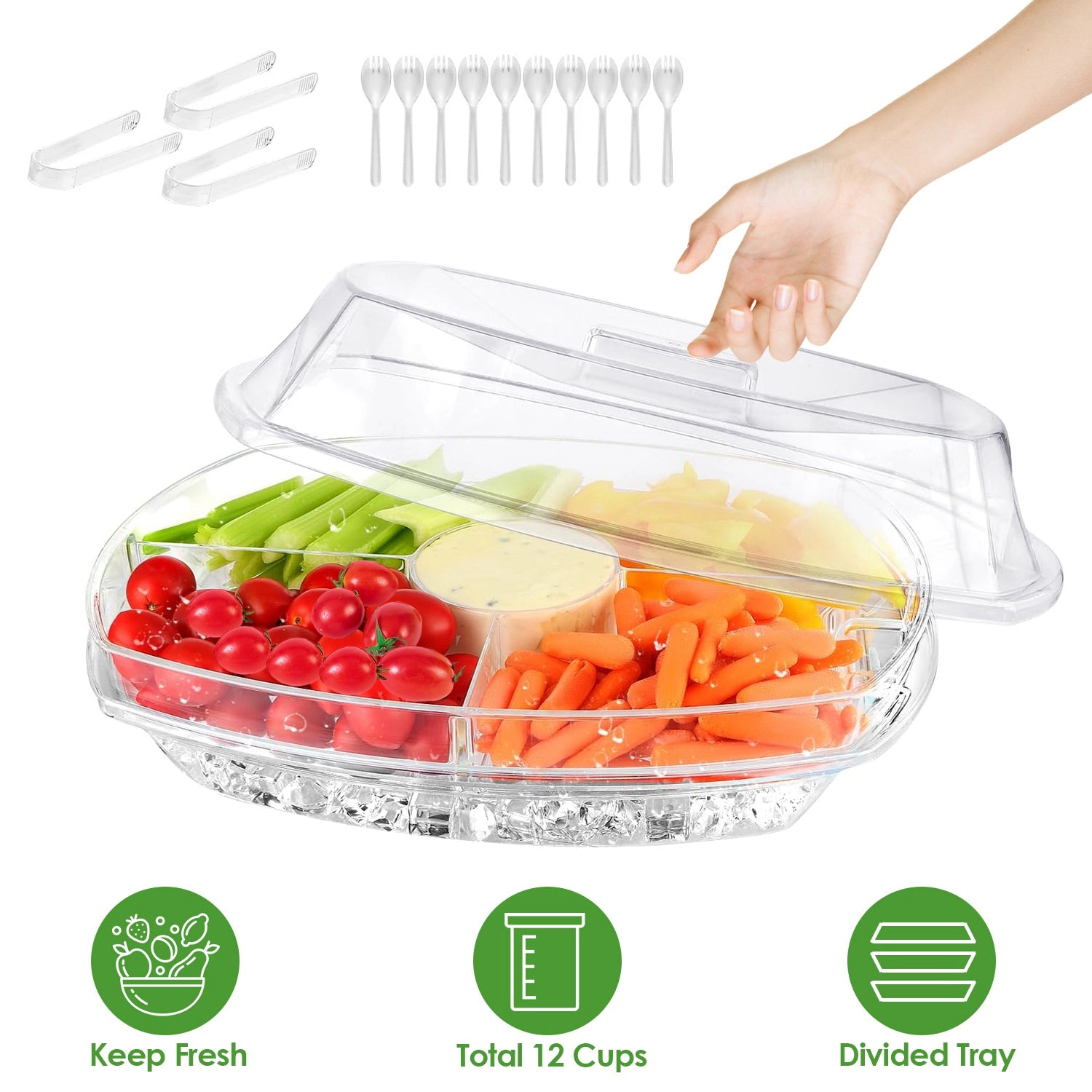 GBruno 4-Compartment Chilled Serving Tray With Lid