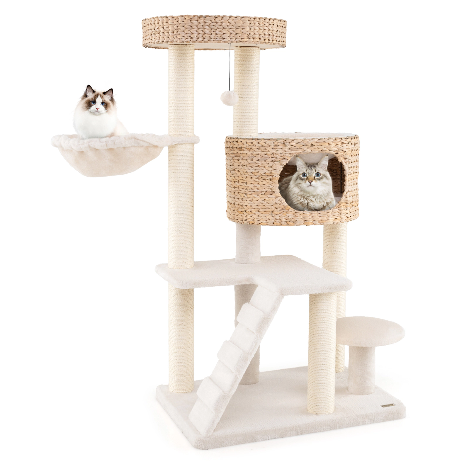 Glintex 50-Inch Cat Tree with Hand-Woven Cattail Condo and Climbing Ladder, White