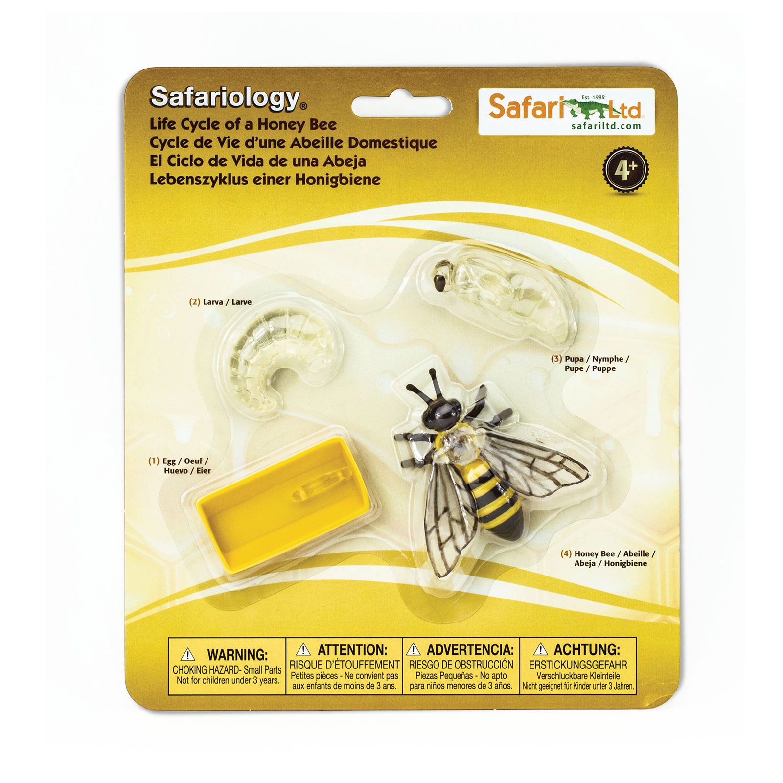 Safari Ltd. - Life Cycle of a Honey Bee - Miniature Lifecycle Collection Toy