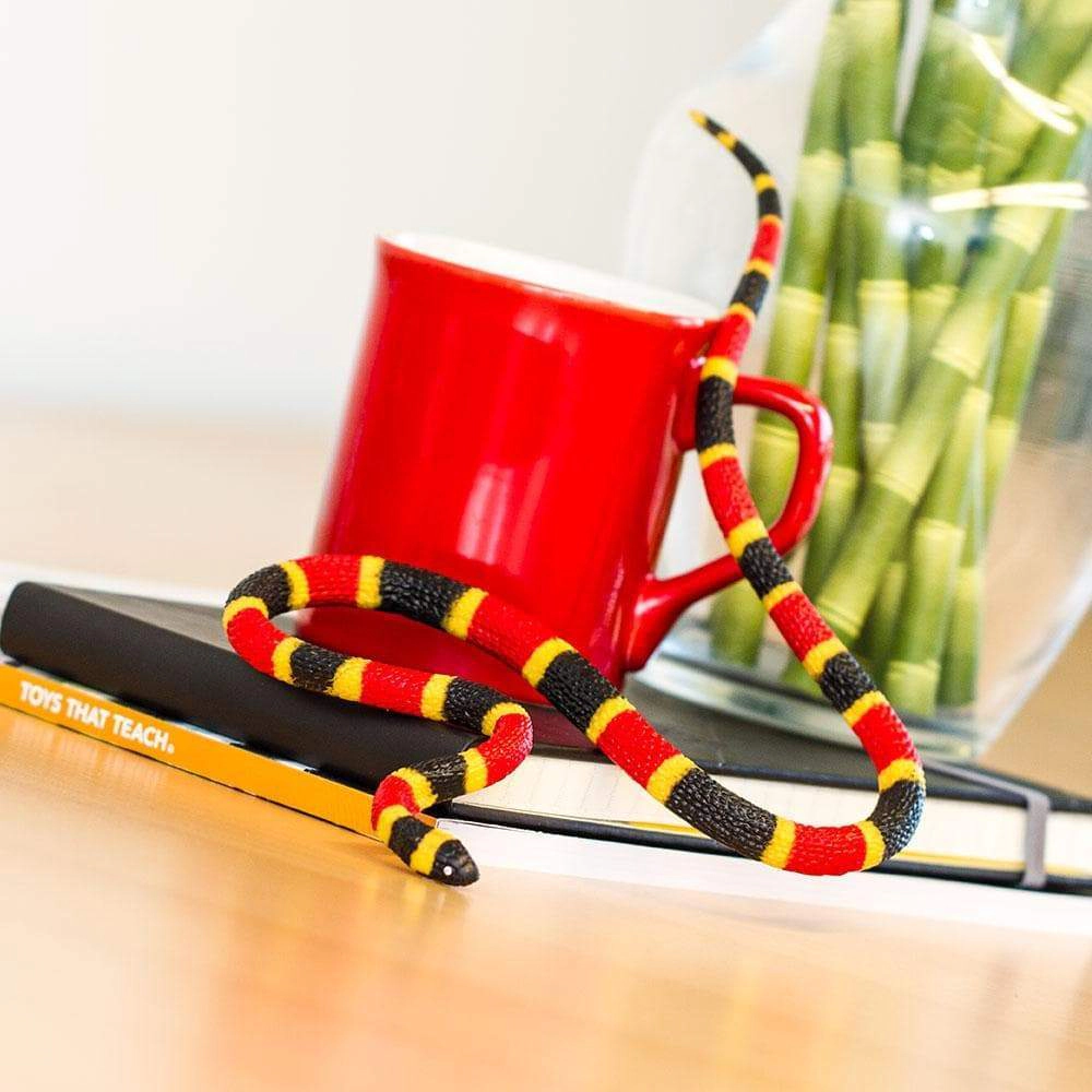 Safari Ltd. - Coral Snake Baby Kids Toy Figure