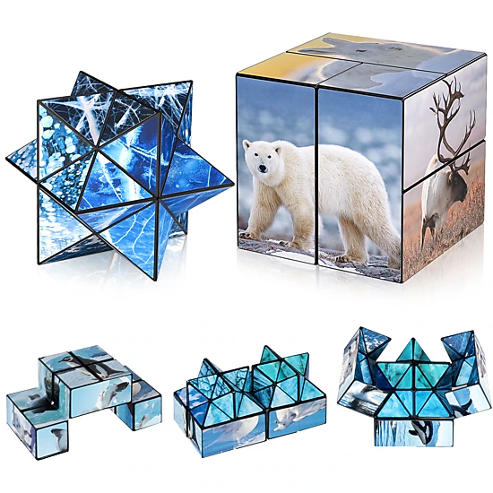 Bruce & Shark 2-in-1 Yoshimoto Magic Star Cube with North and South ...