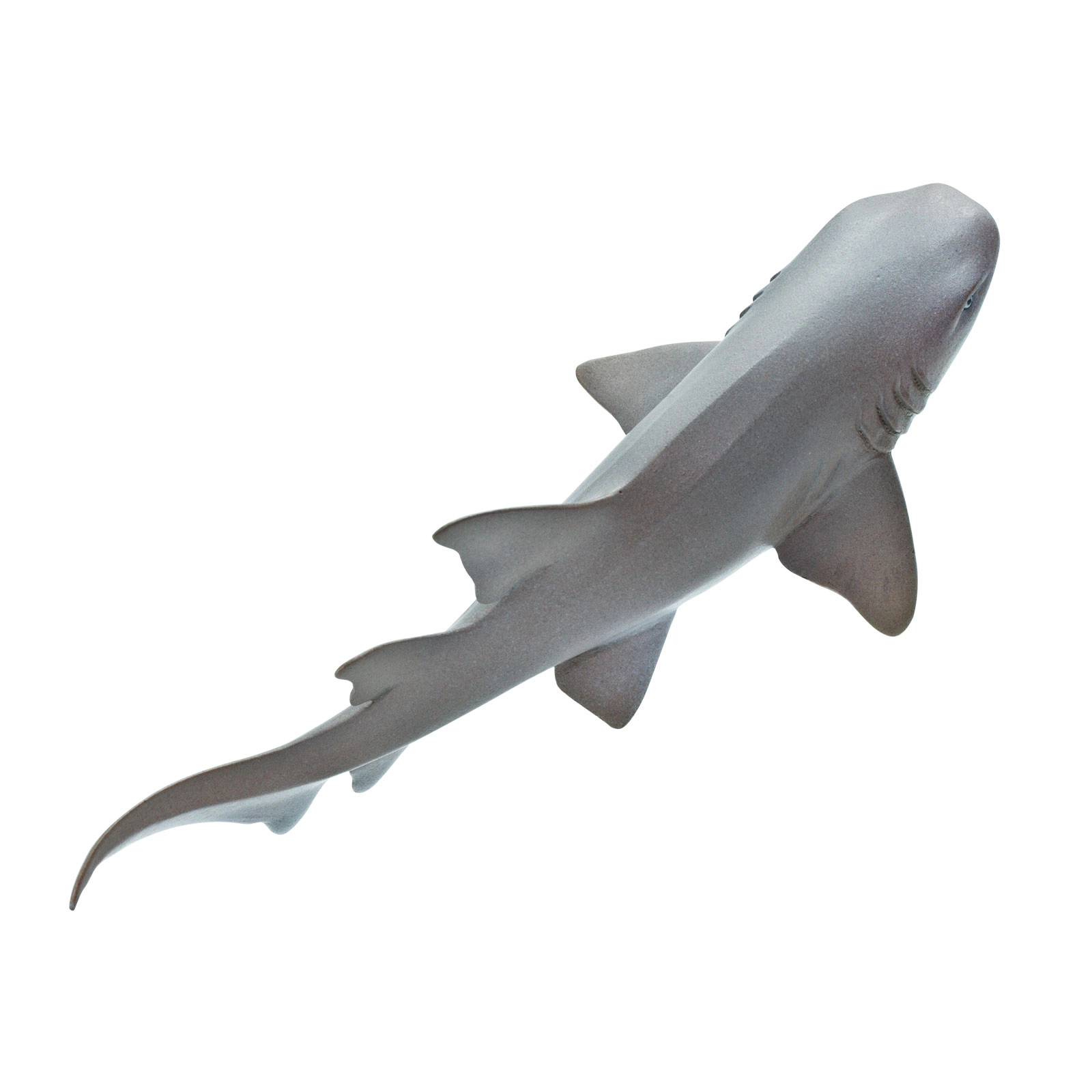 Safari Ltd. - Nurse Shark Kids Toy Figure