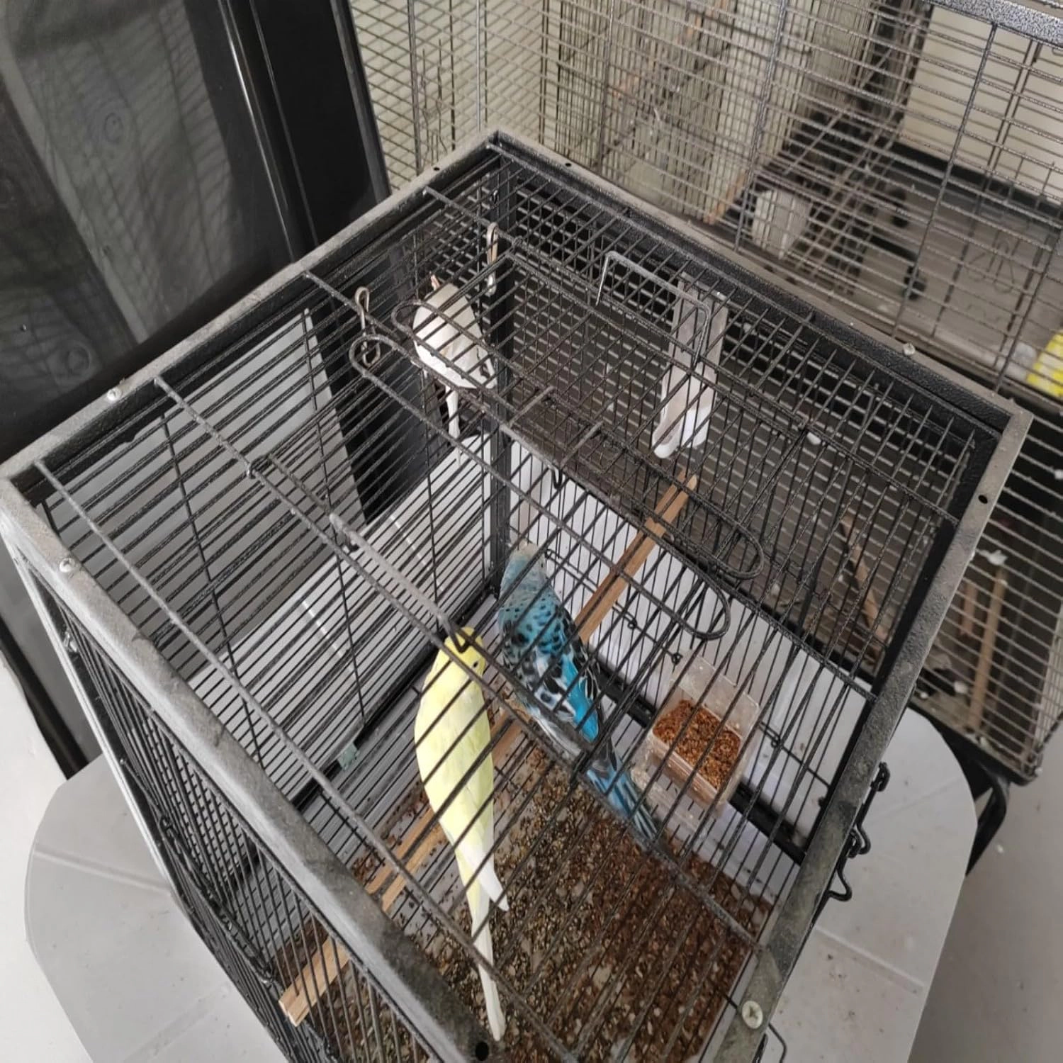 45x45x60cm Deluxe Metal Parrot Bird Cage, Spacious Breeding Aviary for Small-Medium Pet Birds, Black