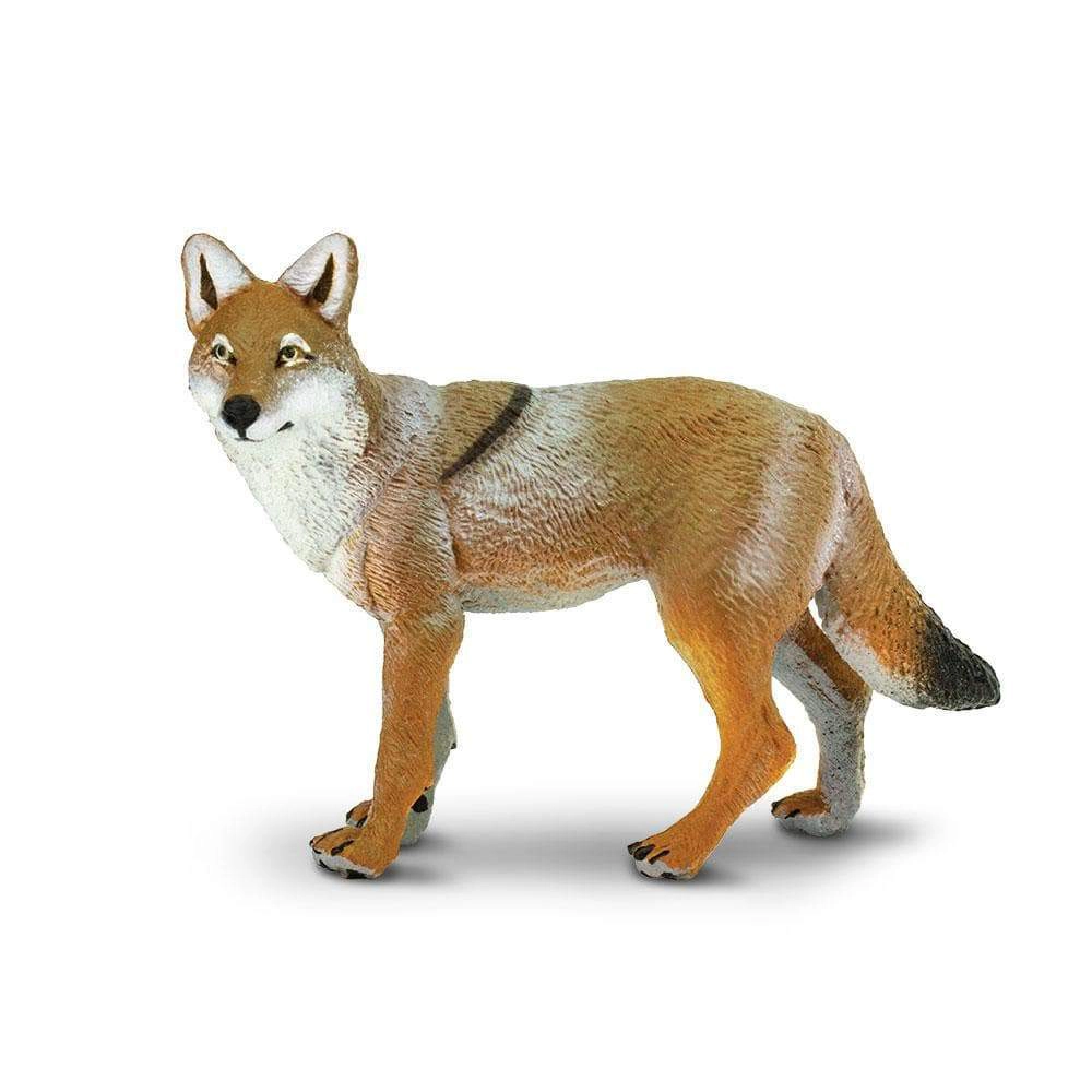 Safari Ltd. - Coyote Kids Toy Figure