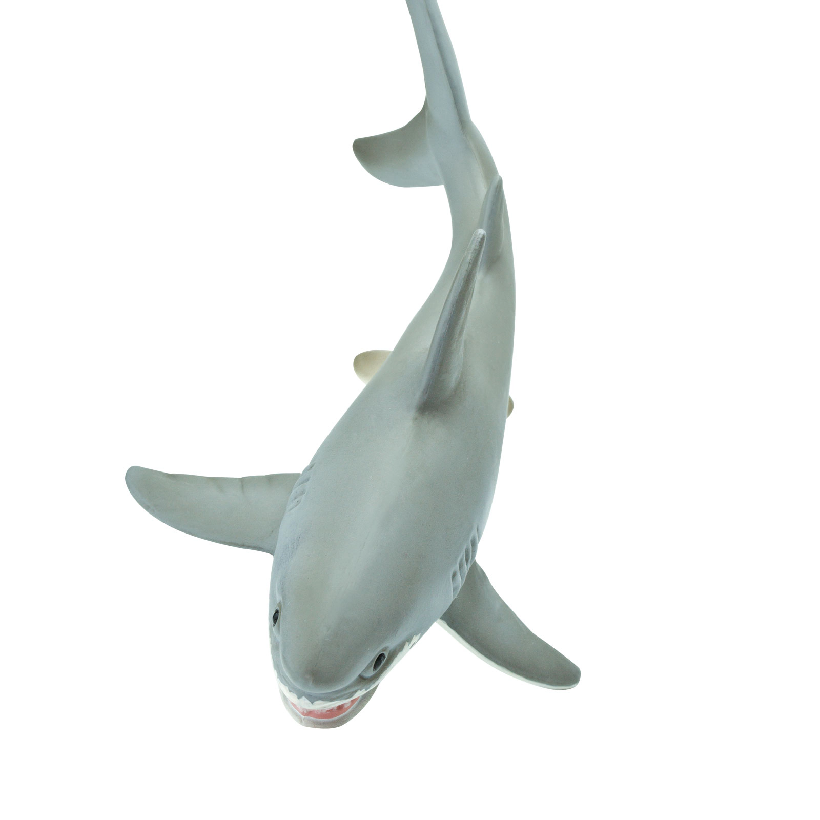 Safari Ltd. - Great White Shark Kids Toy Figure