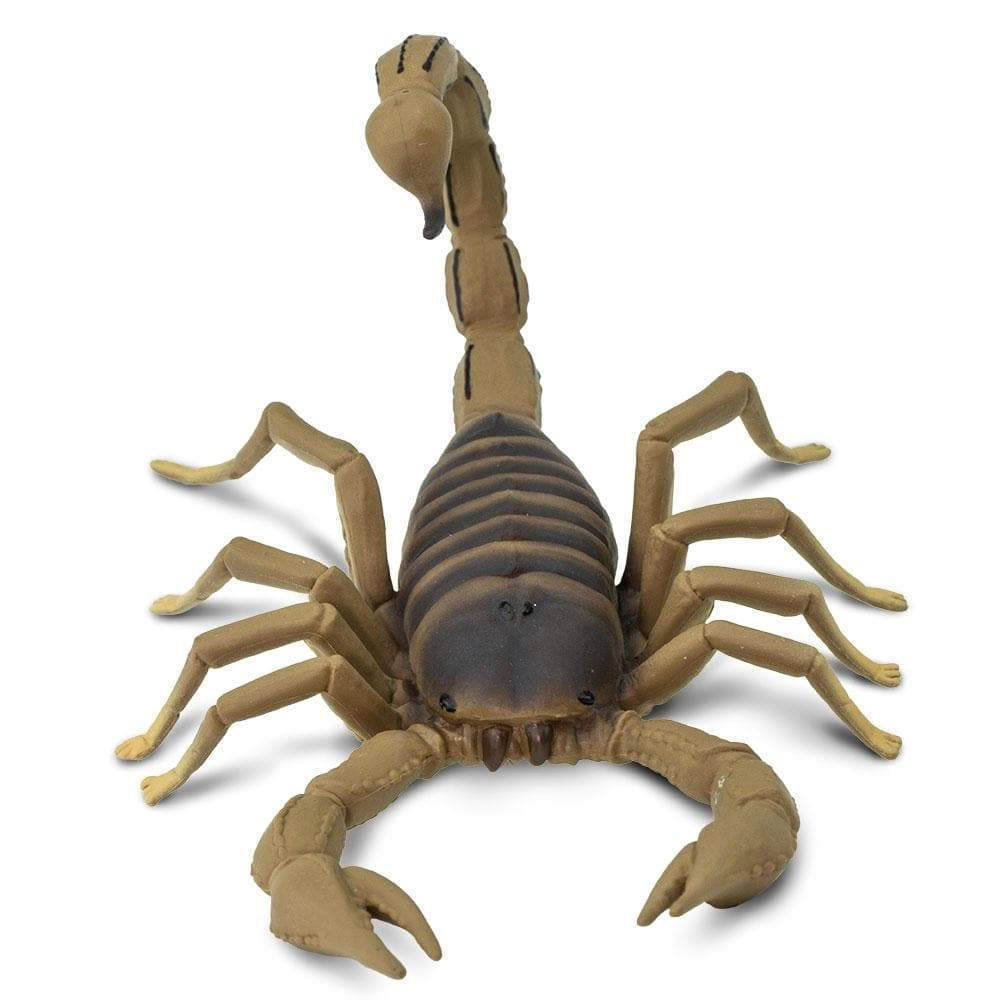 Safari Ltd. - Scorpion Kids Toy Figure