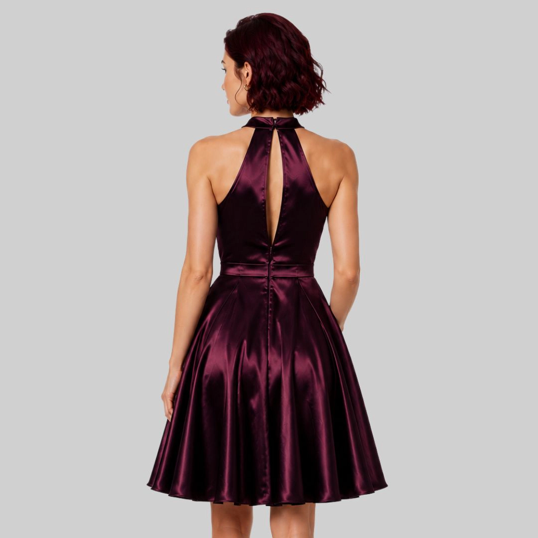 Artyska Women's Satin High Neck Fit & Flare Mini Dress with Pockets