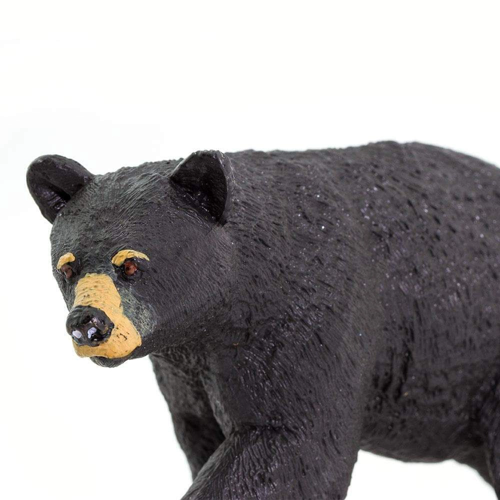 Safari Ltd. - Black Bear Kids Toy Figure