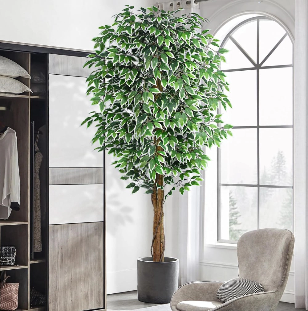 Whimsy Toys 7ft Large Ficus Artificial Trees