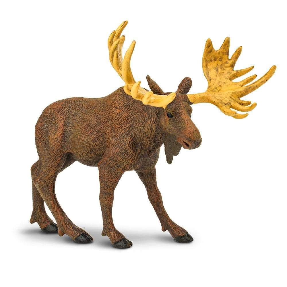 Safari Ltd. - Moose Kids Toy Figure