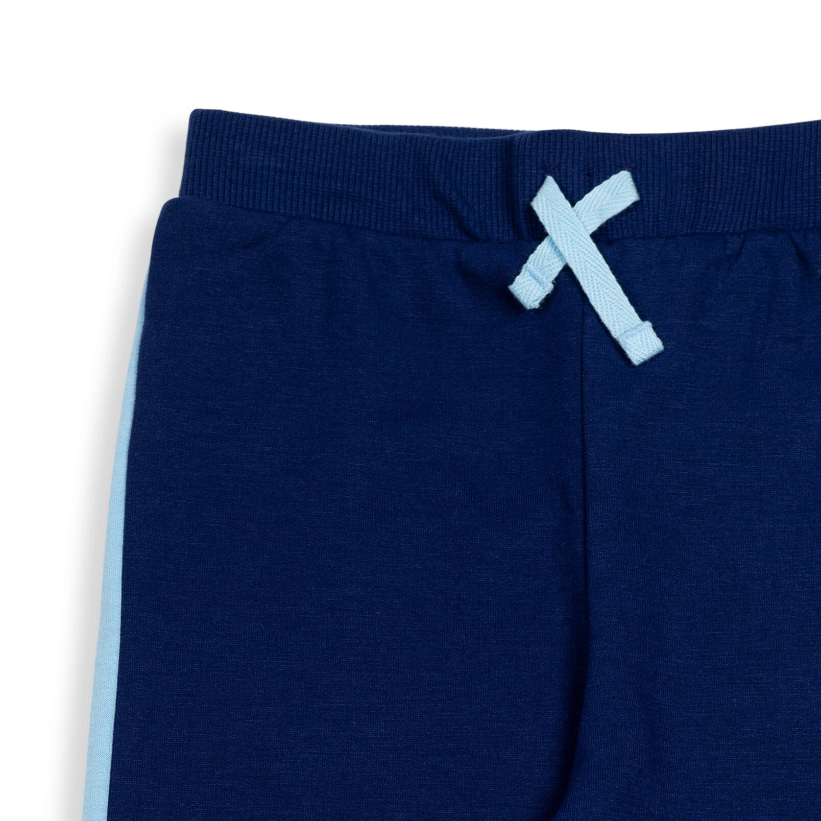 Bluey Boys' Fleece 2-Piece Hoodie and Joggers Set