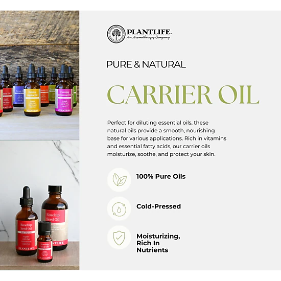 Plantlife Shea Nut Carrier Oil