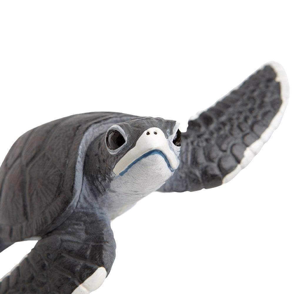 Safari Ltd. - Sea Turtle Baby Kids Toy Figure