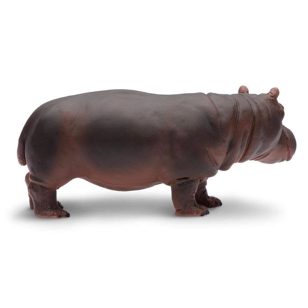 Safari Ltd. - Hippopotamus Kids Toy Figure
