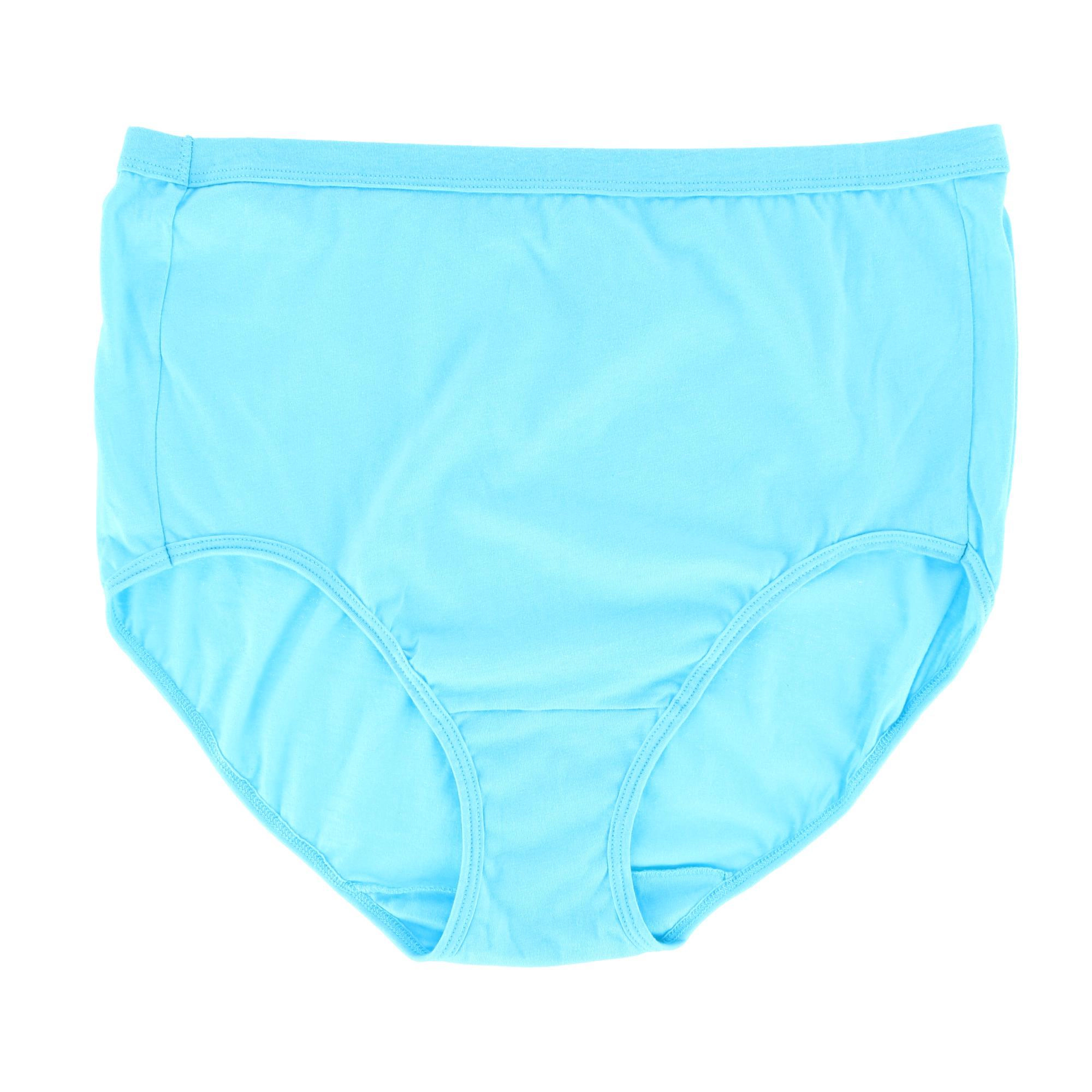 Fruit of the Loom Women's Plus Fit For Me Assorted Brief (6 Pack)