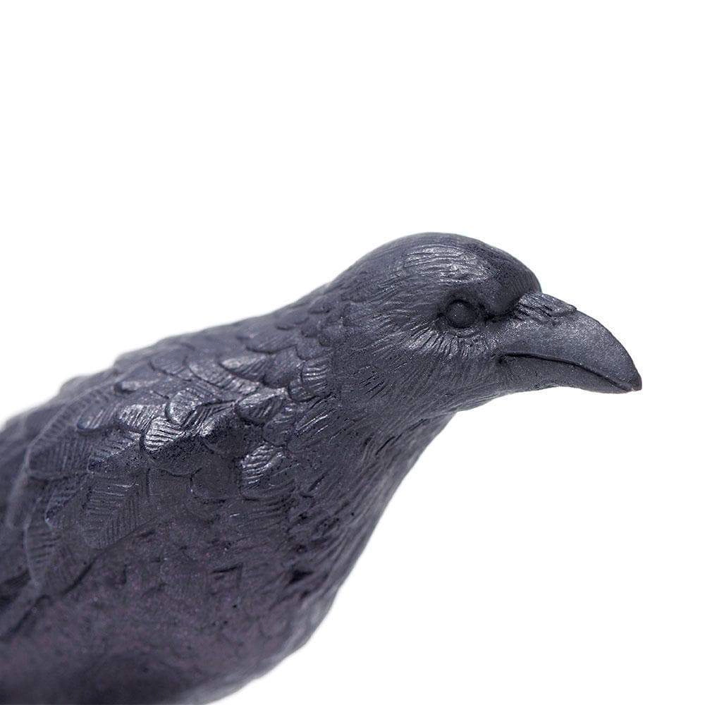 Safari Ltd. - Raven Kids Toy Figure