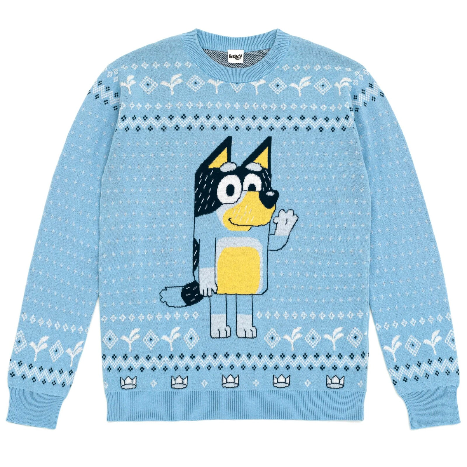 Bluey Matching Family Holiday Sweater