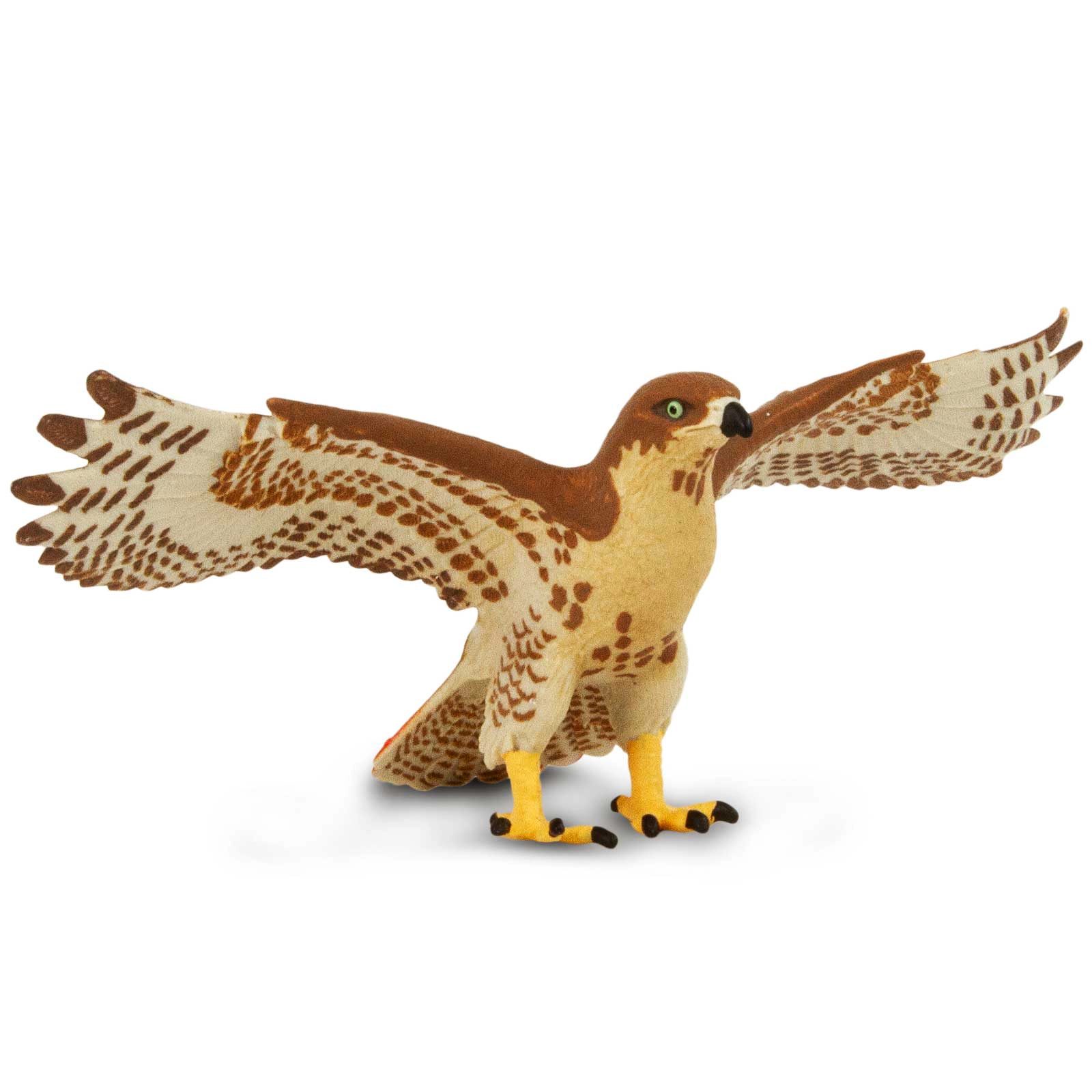 Safari Ltd. - Red-Tailed Hawk Kids Toy Figure