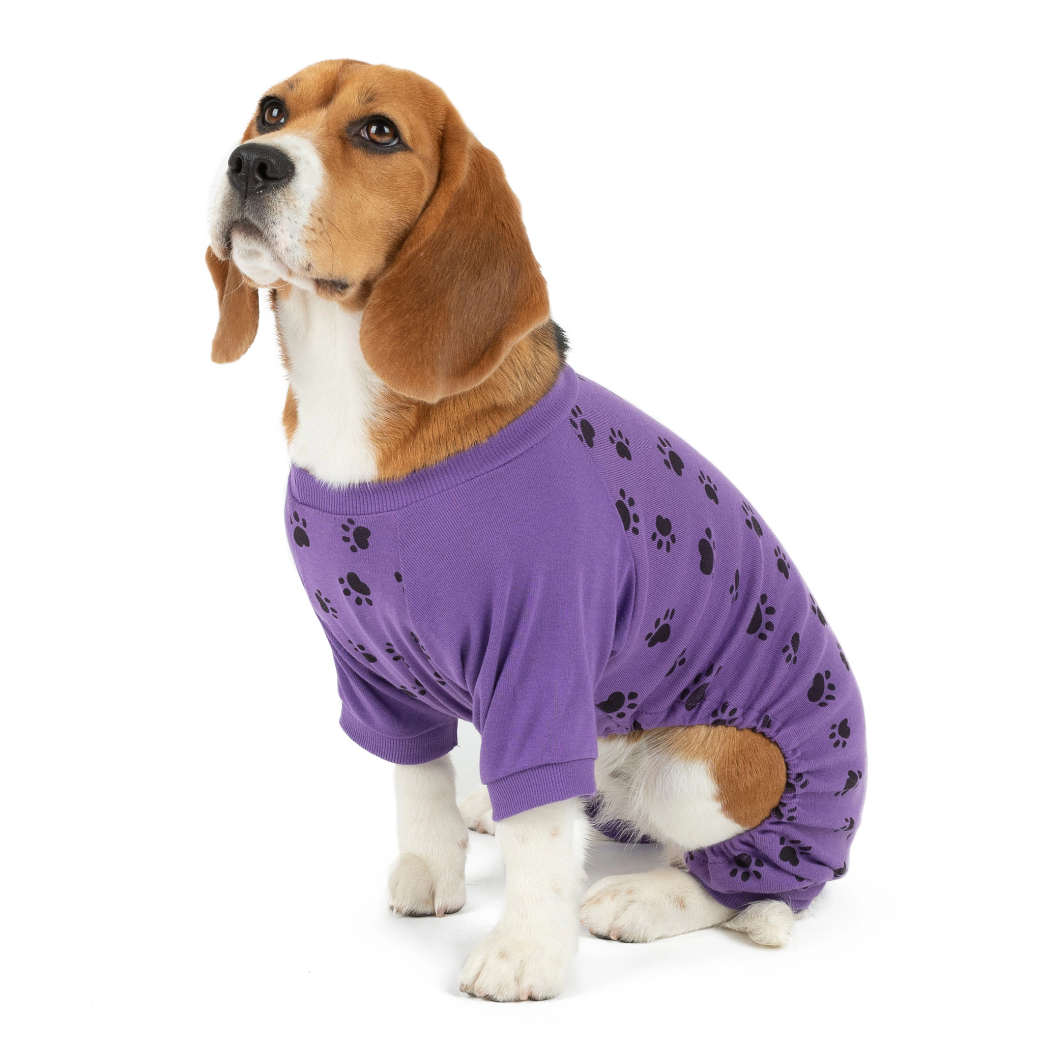 Leveret Dog Cotton Teal & Purple Paw Print Pajamas