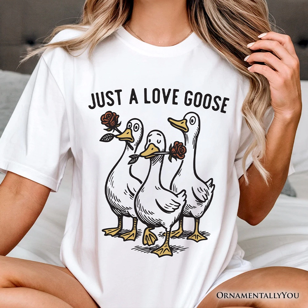 OrnamentallyYou Womens Just A Love Goose Quirky Valentine T-Shirt