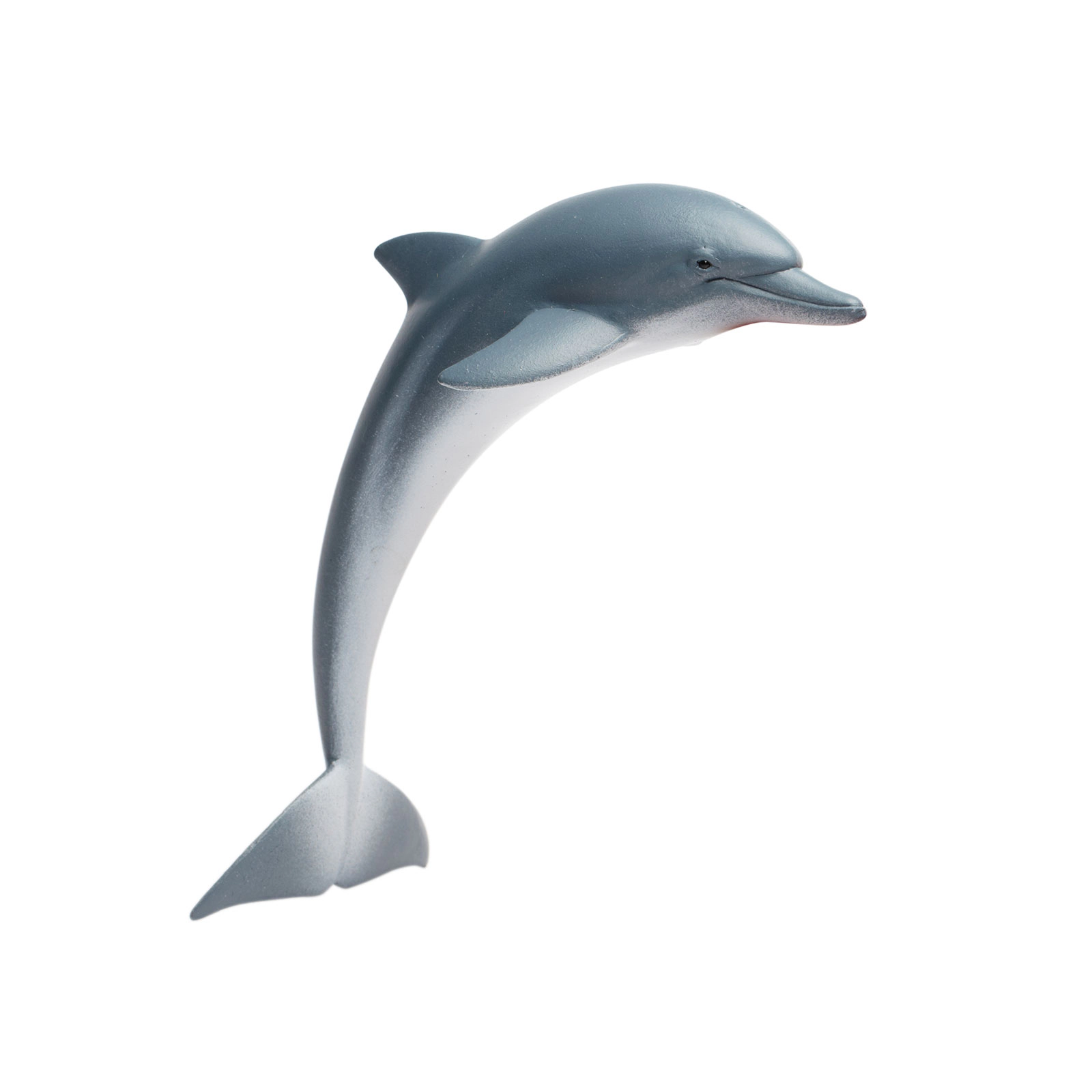 Safari Ltd. - Dolphin Kids Toy Figure