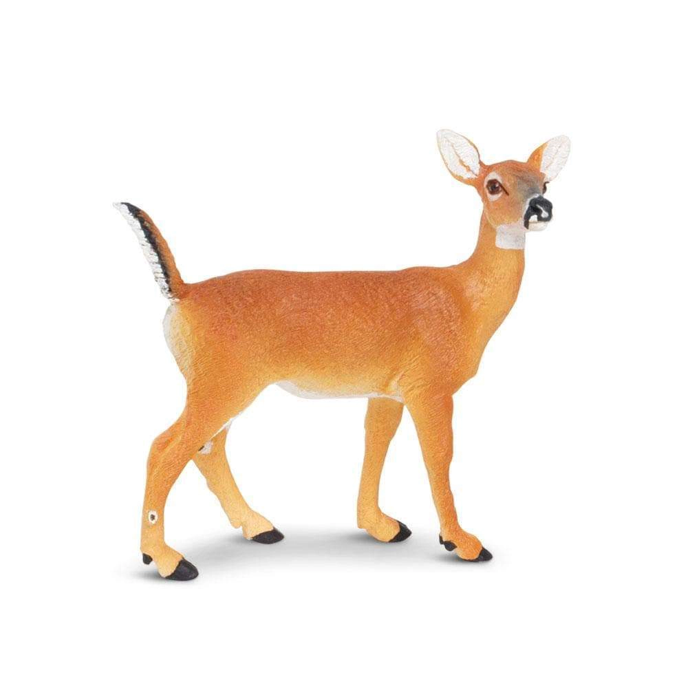 Safari Ltd. - Whitetail Doe Kids Toy Figure