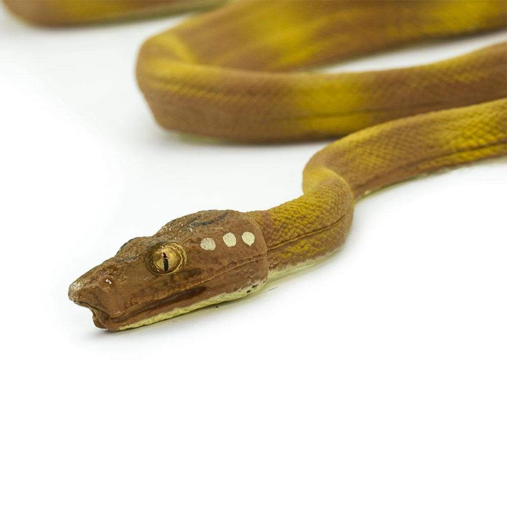 Safari Ltd. - Amazon Tree Boa Snake Kids Toy Figure