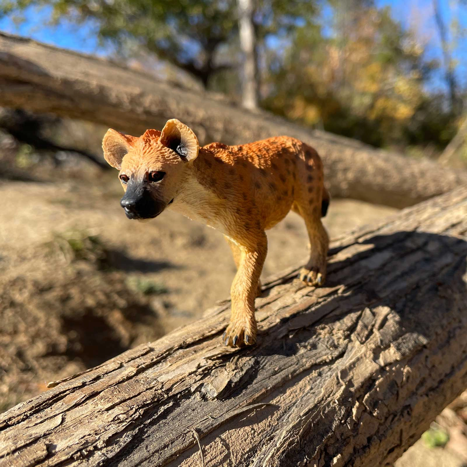 Safari Ltd. - Spotted Hyena Kids Toy Figure