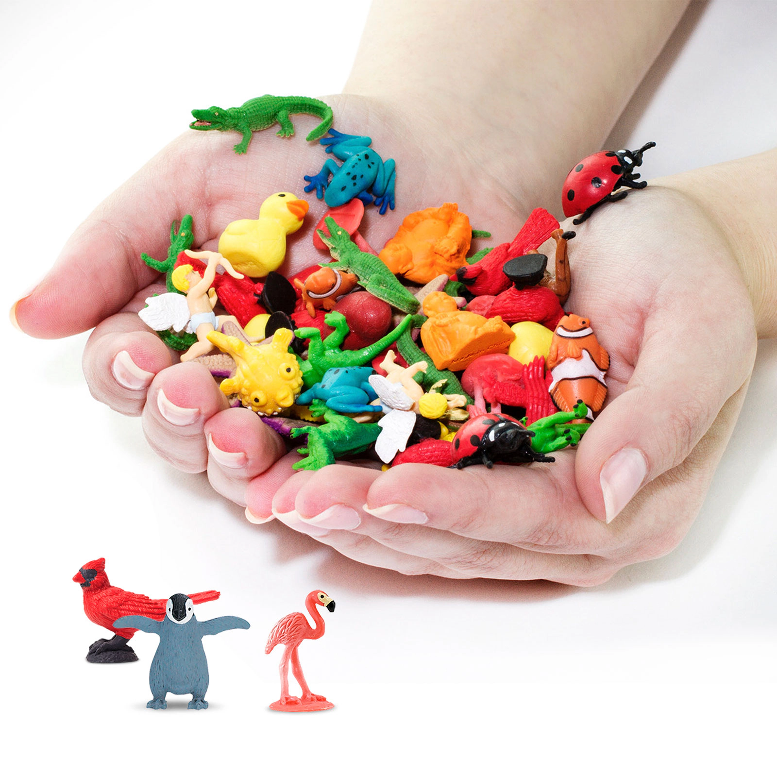 Safari Ltd. - Birds Fun Pack - 8 Mini Toy Figurines for Kids