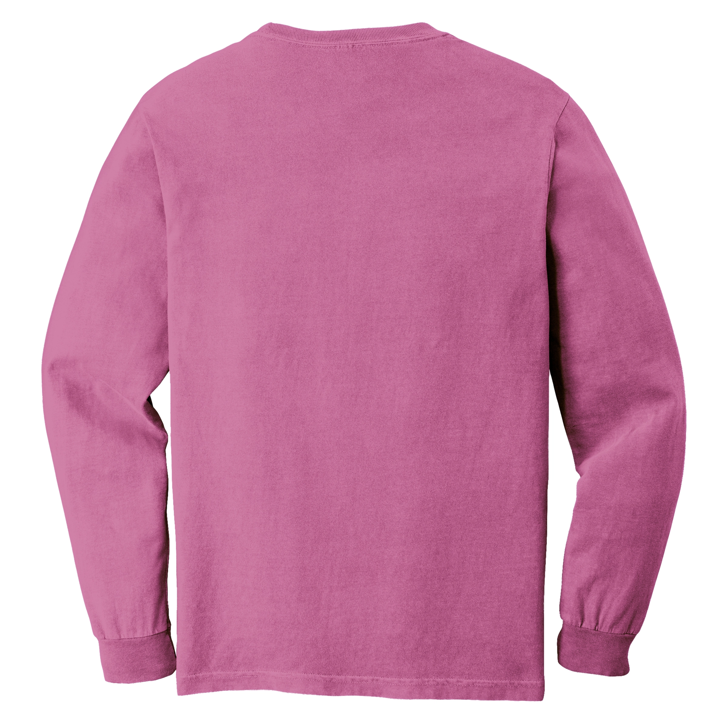 Simply Sage Market - Women's Garment Dyed Long Sleeve Graphic T-Shirt Sweater Weather and Fallen Leaves