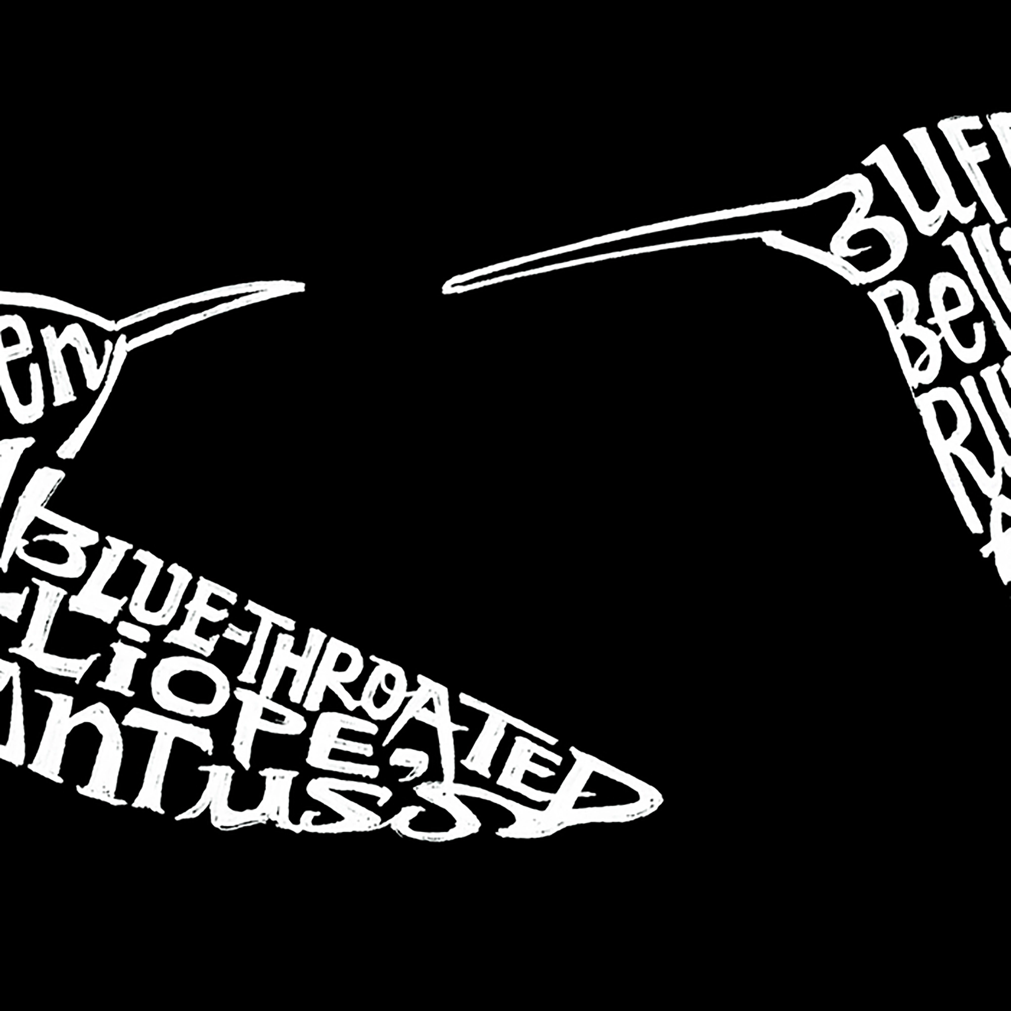 LA Pop Art Men's Word T-Shirt - Hummingbirds