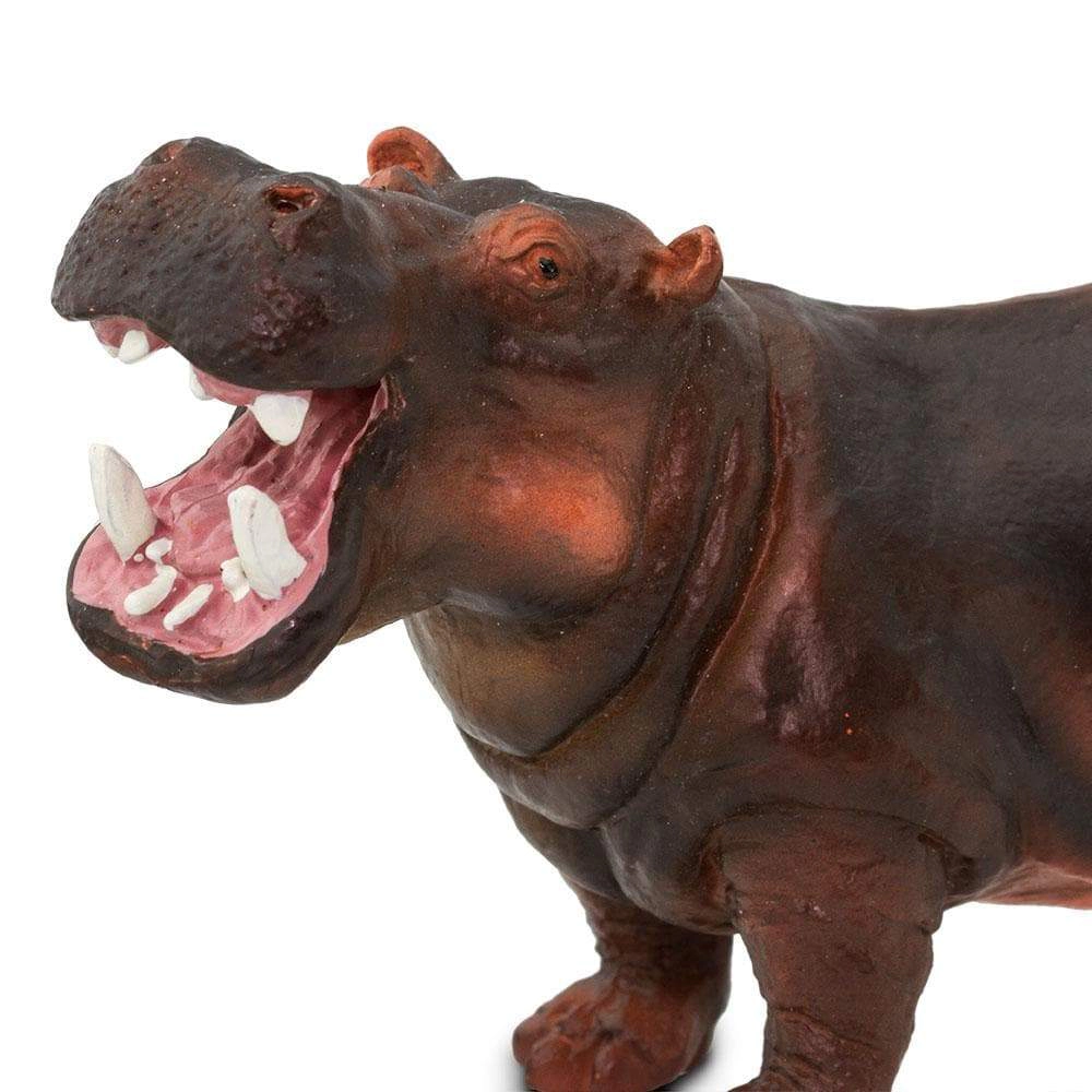Safari Ltd. - Hippopotamus Kids Toy Figure