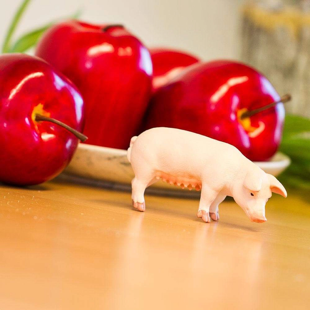 Safari Ltd. - Sow Kids Toy Figure