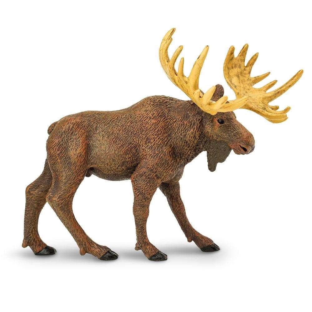 Safari Ltd. - Moose Kids Toy Figure