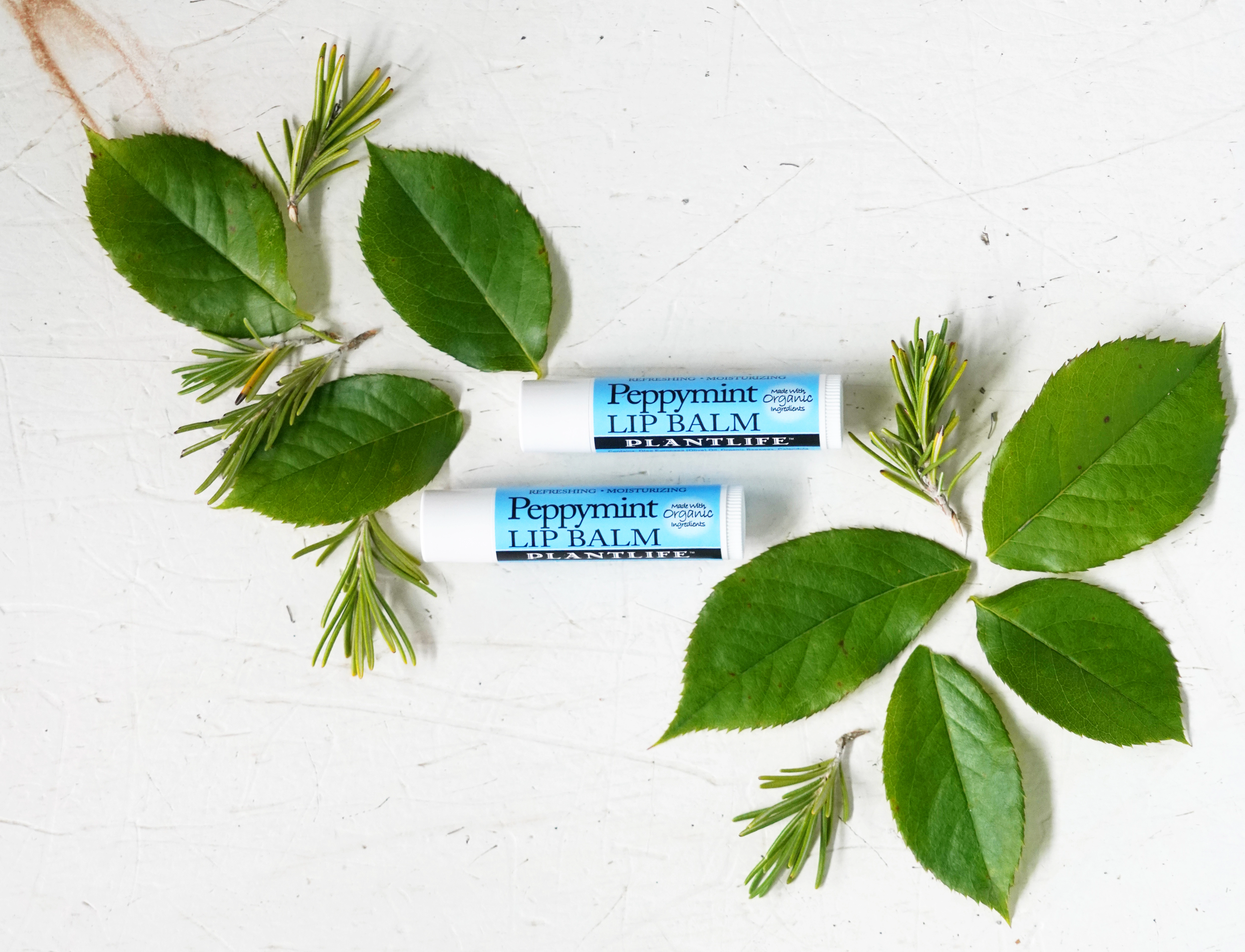 Plantlife PeppyMint Lip Balm