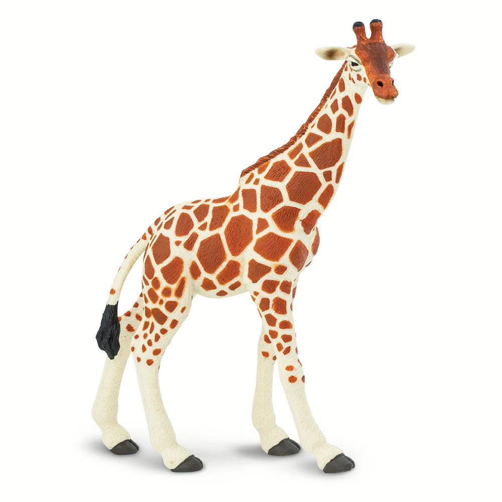 Safari Ltd. - Reticulated Giraffe Kids Toy Figure