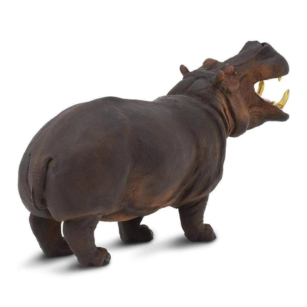 Safari Ltd. - Hippopotamus Kids Toy Figure