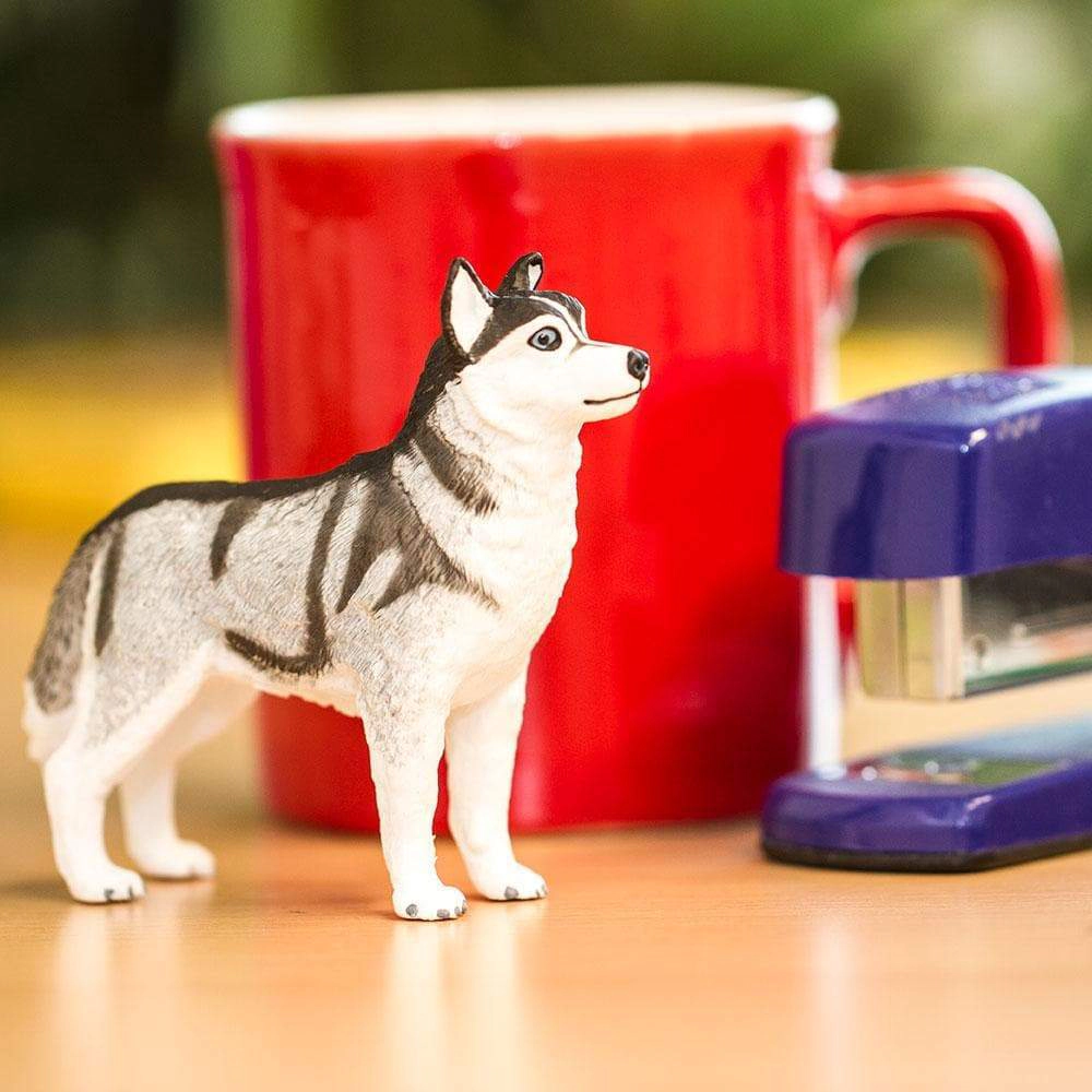 Safari Ltd. - Siberian Husky Kids Toy Figure