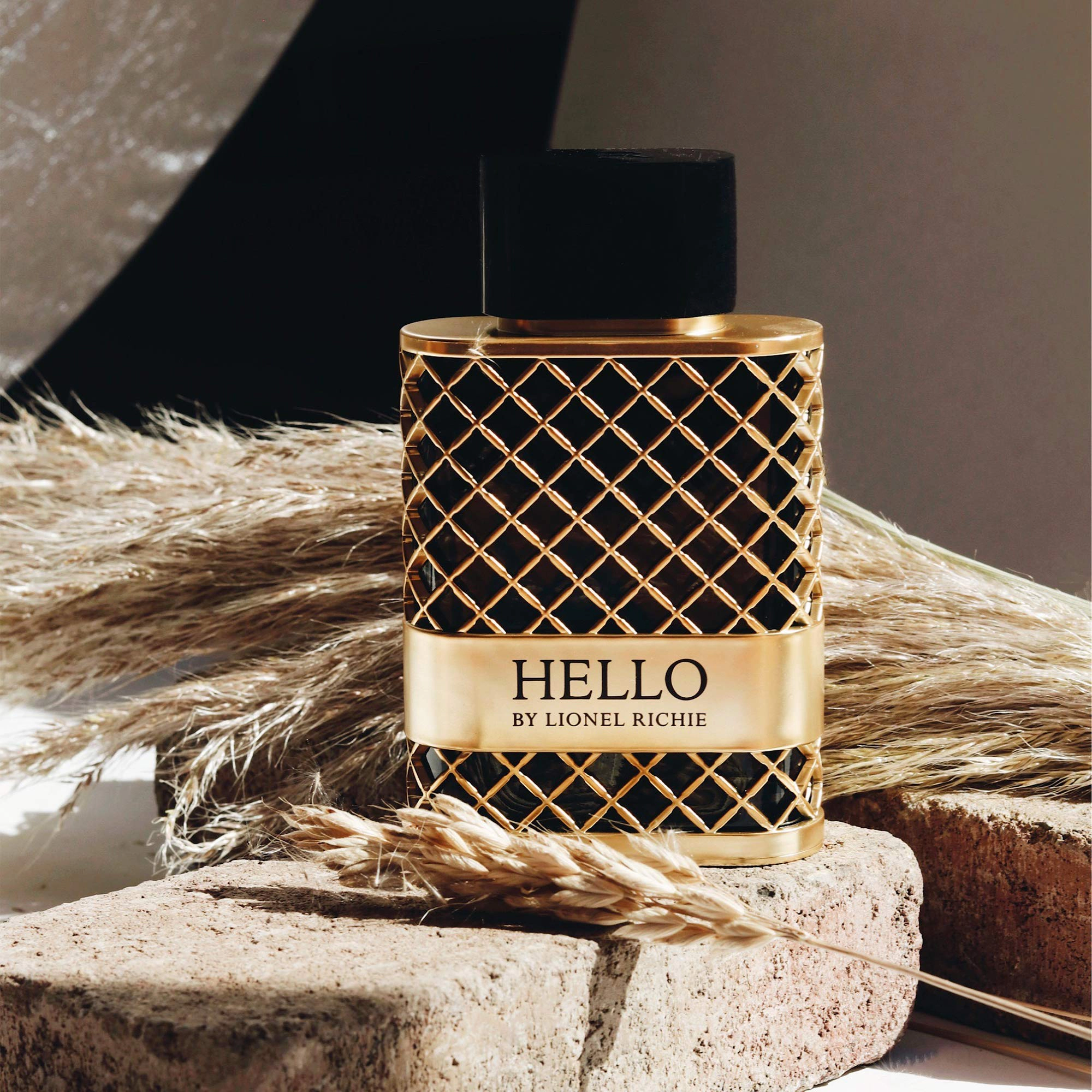 Lionel Richie Hello Eau de Toilette for Men - Aromatic Woody 3.4 oz Spray