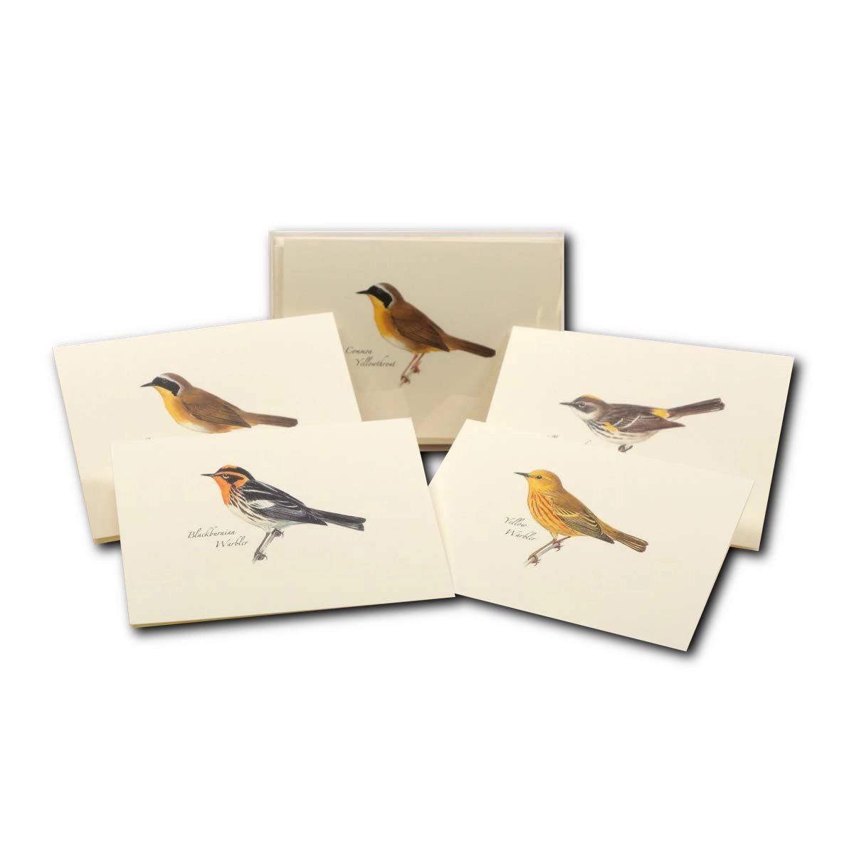 Earth Sky + Water Peterson Warbler Notecard Set - 8 Blank Recycled Cards with Envelopes, 3.5 x 5 in