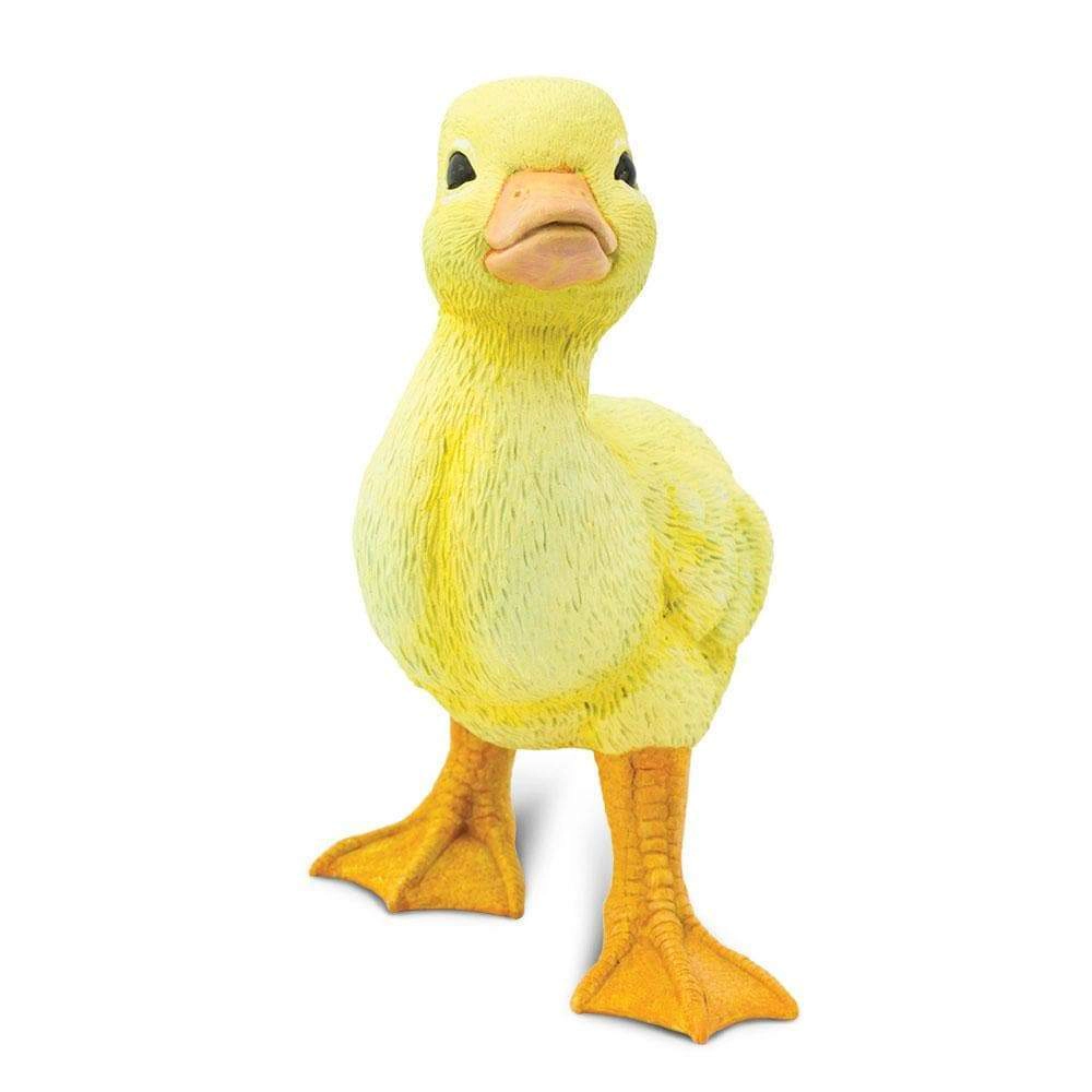 Safari Ltd. - Duckling Kids Toy Figure
