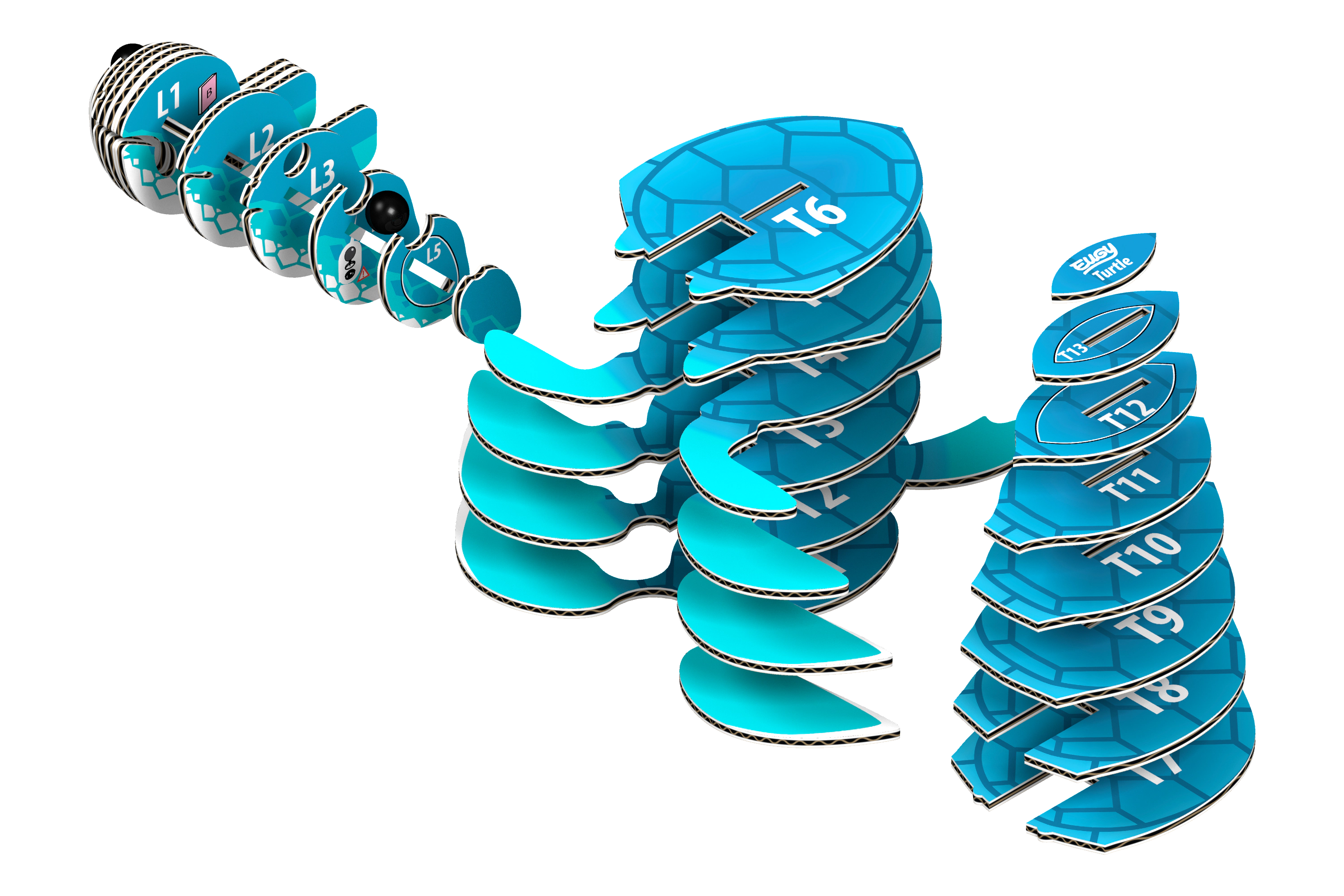 EUGY Turtle 3D Puzzle - contains 26 puzzle pieces