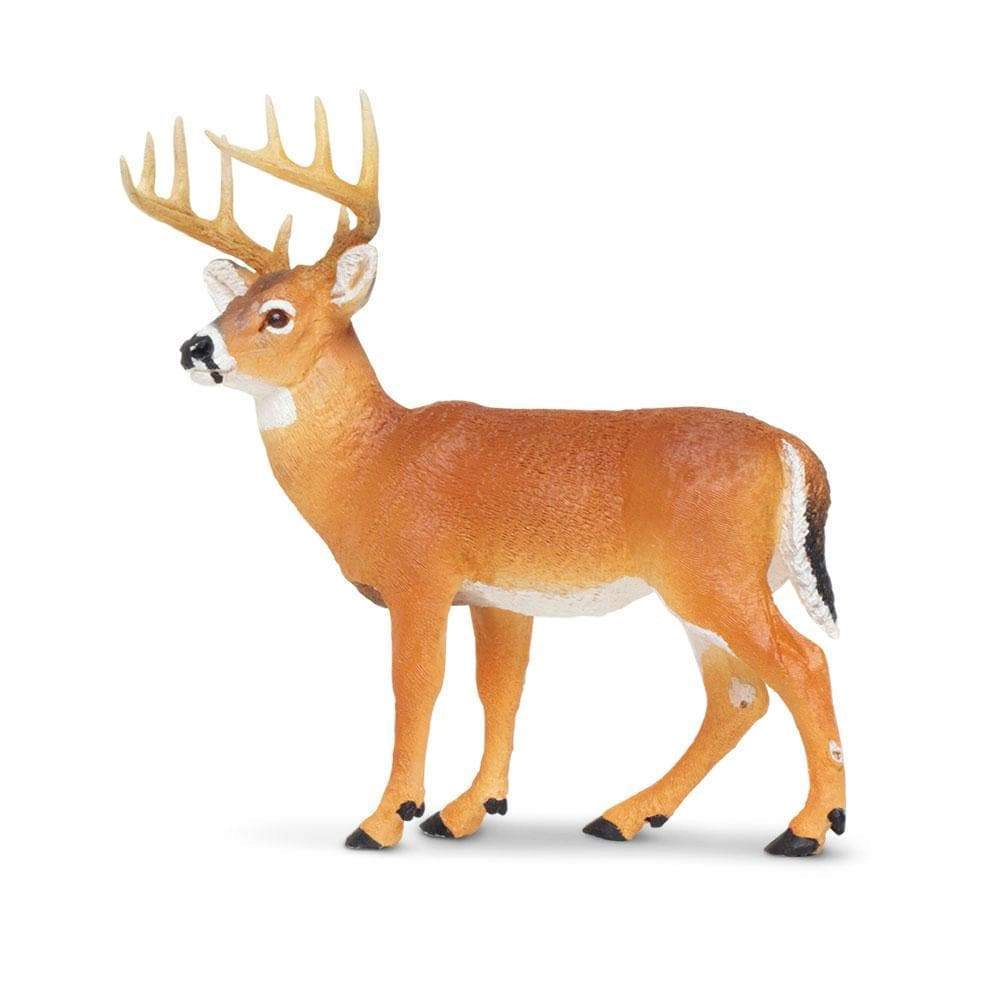 Safari Ltd. - Whitetail Buck Kids Toy Figure