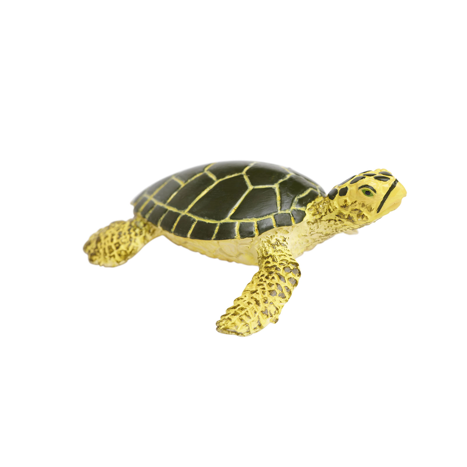 Safari Ltd. - Baby Green Sea Turtle Kids Toy Figure