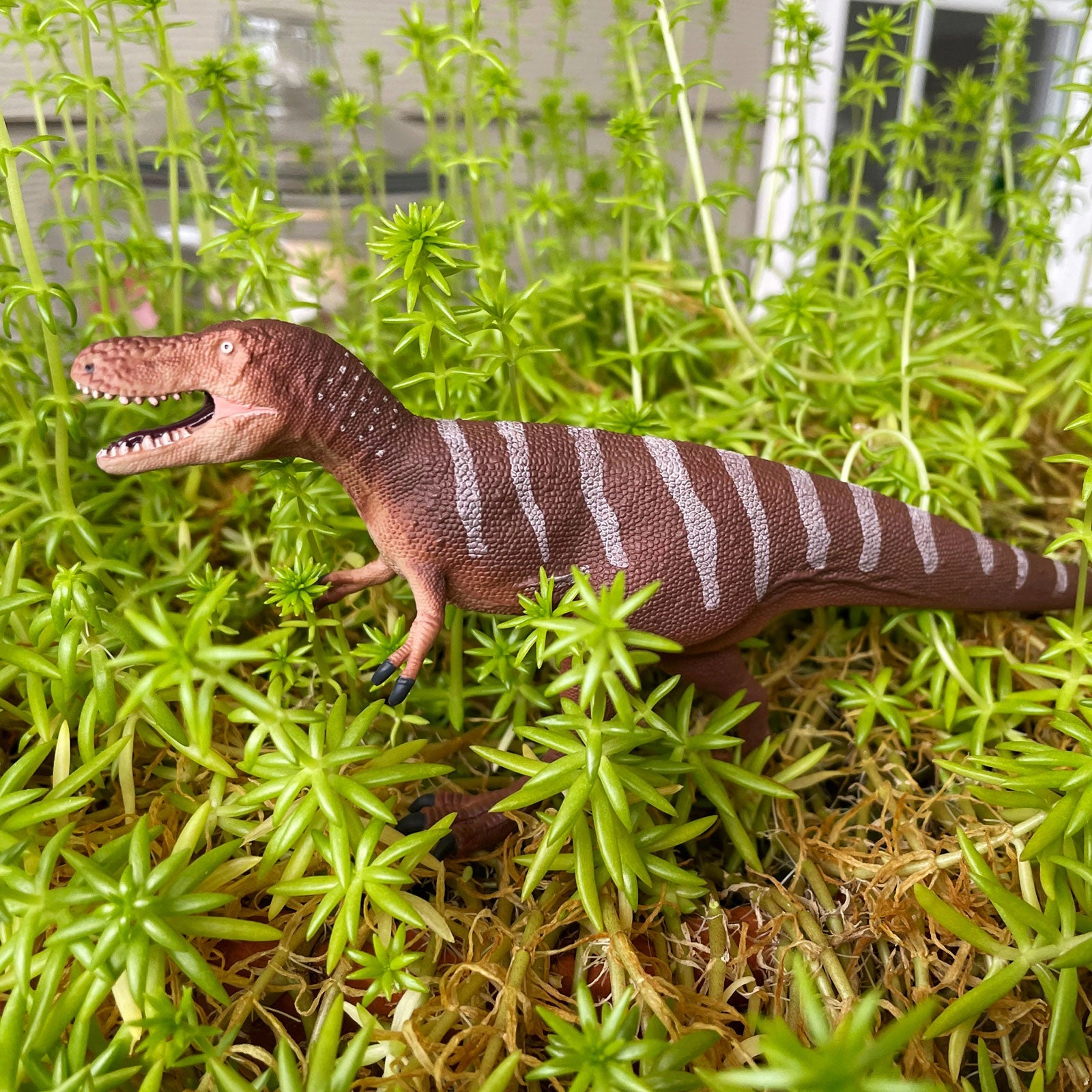 Safari Ltd. - Dino Dana Nanotyrannus Kids Prehistoric/Dinosaur Toy Figure