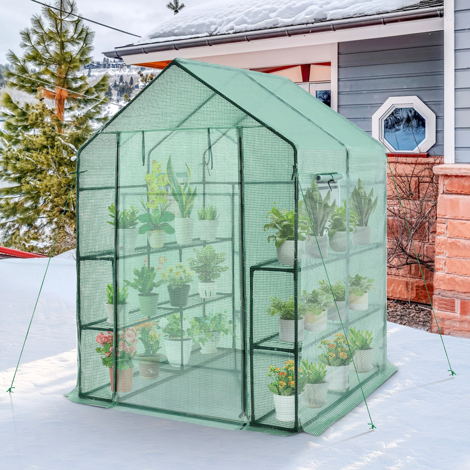 LJG Walk-in Greenhouse with Observation Windows
