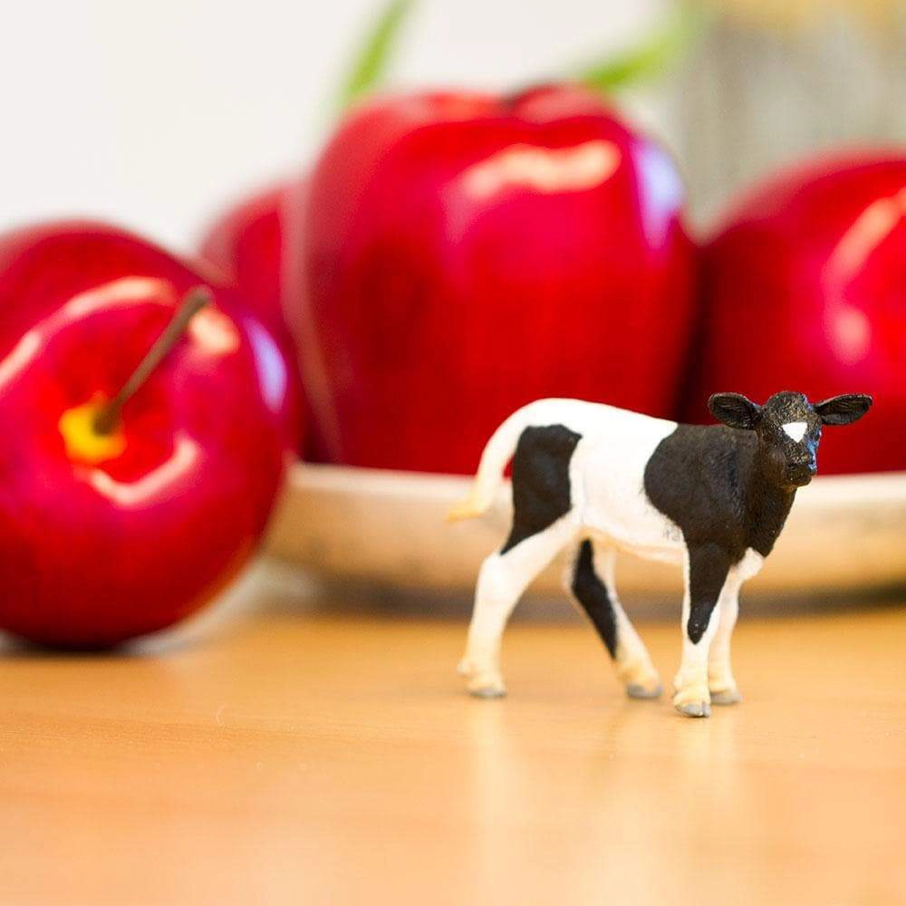 Safari Ltd. - Holstein Calf Kids Toy Figure