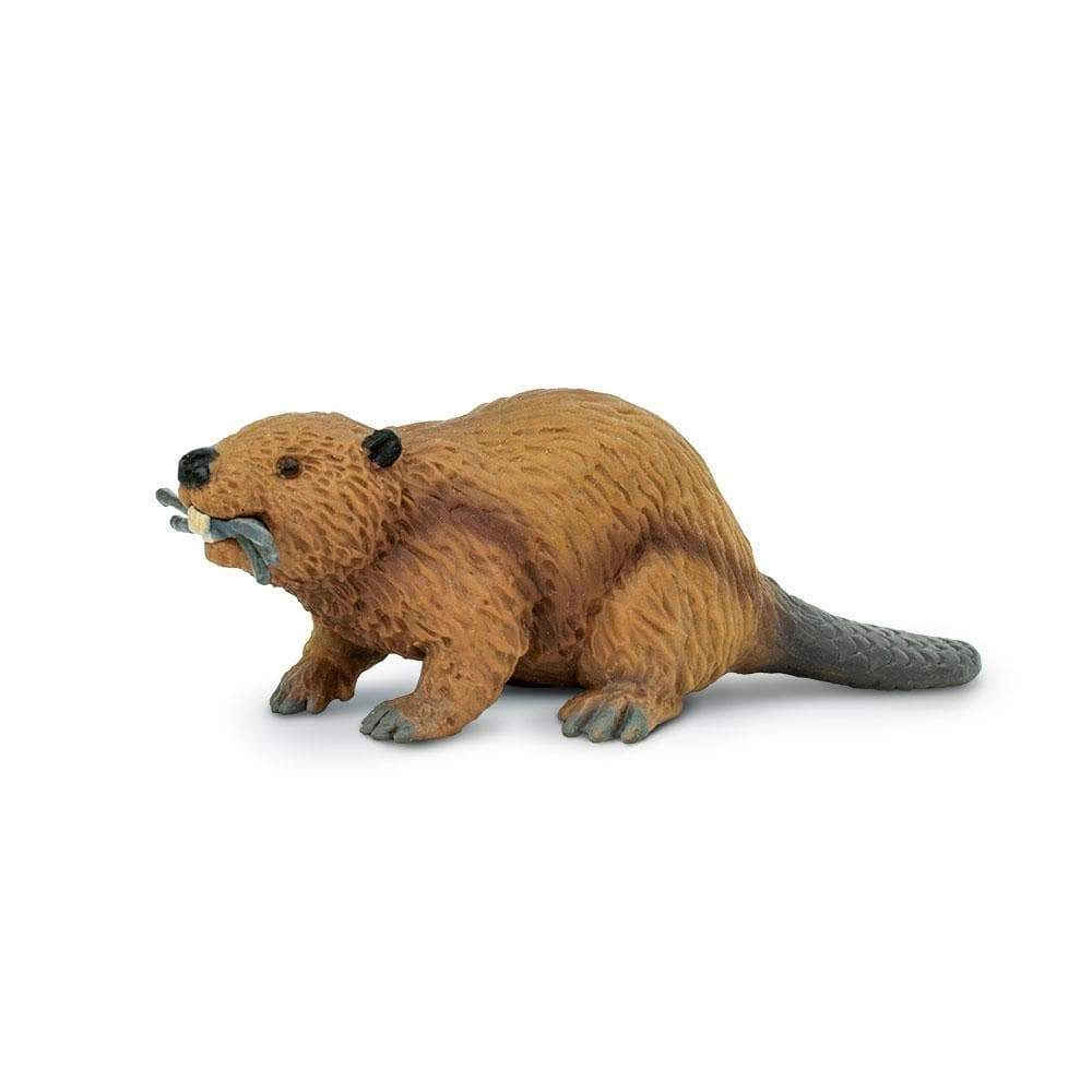 Safari Ltd. - Beaver Kids Toy Figure